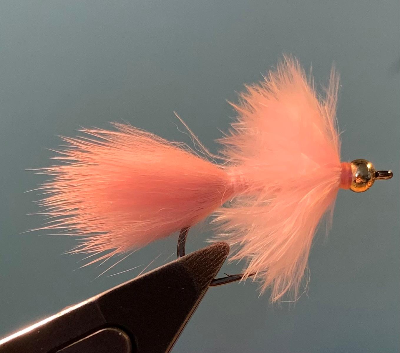 Arctic Pig