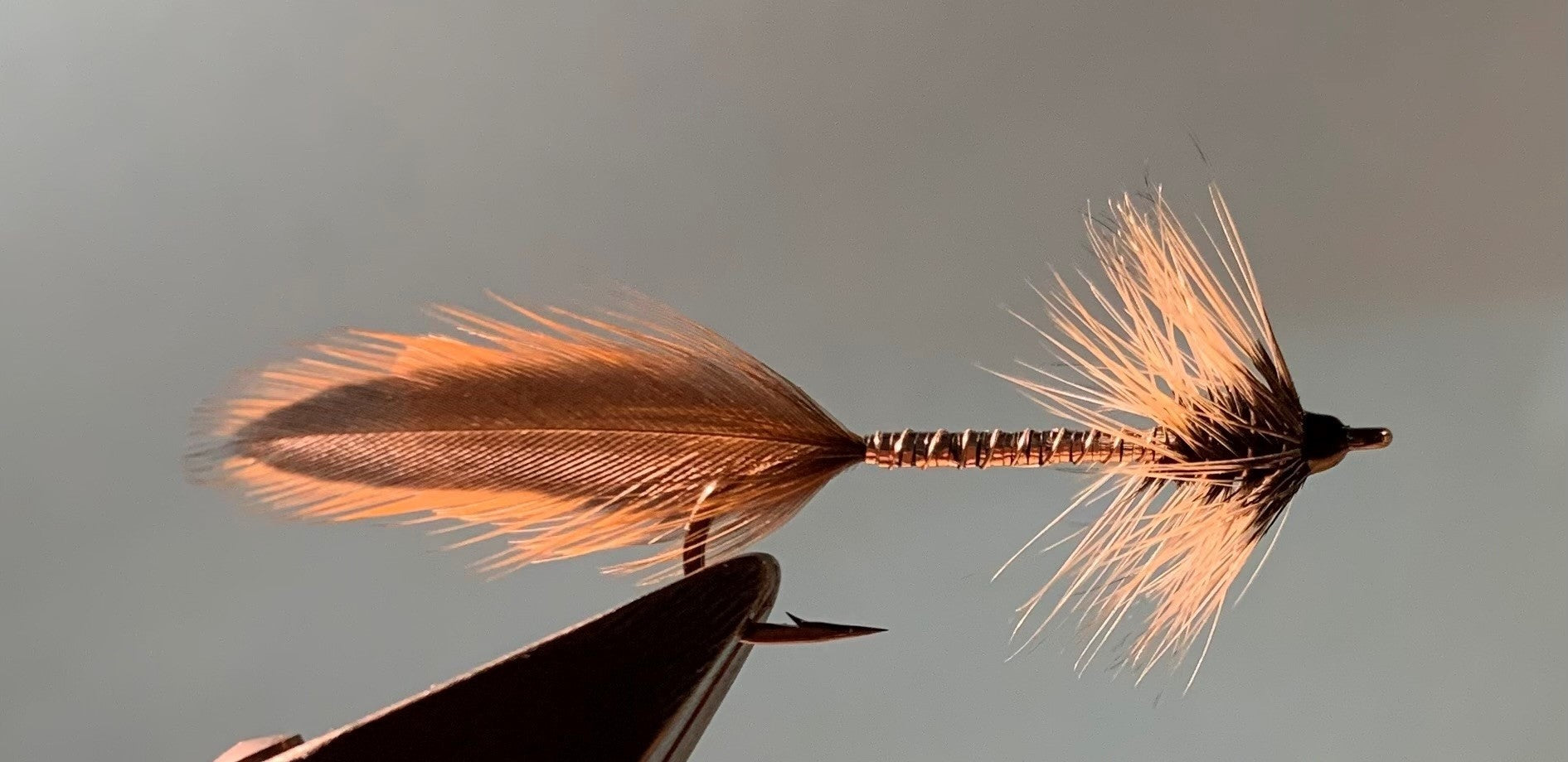 Big Whole Streamer