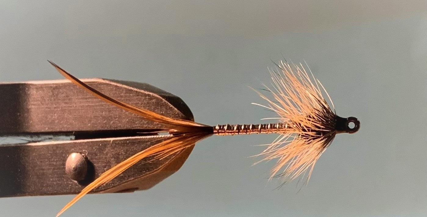 Big Whole Streamer