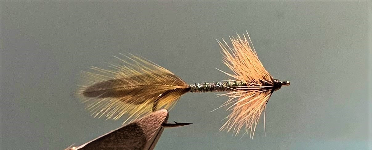 Big Whole Streamer