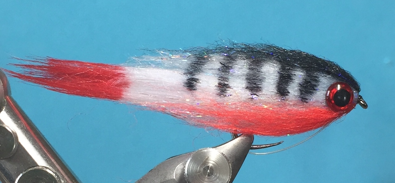 Laser Streamer