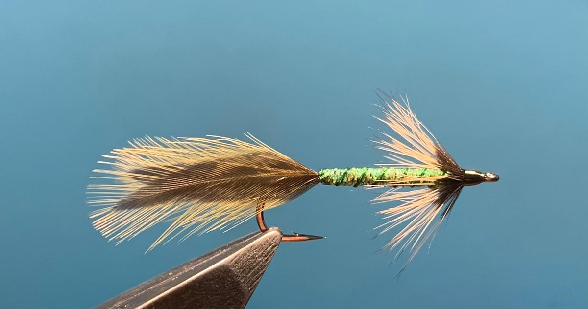Big Whole Streamer