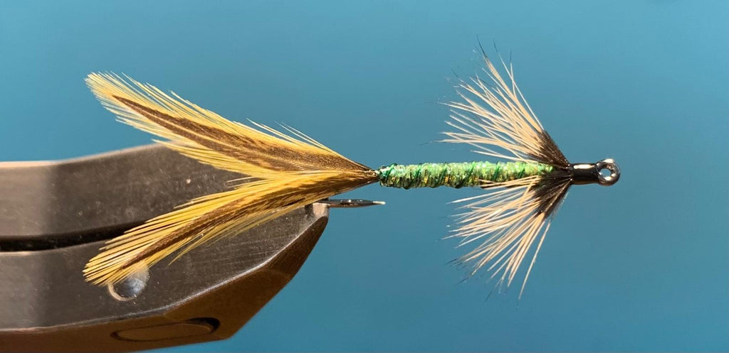 Big Whole Streamer