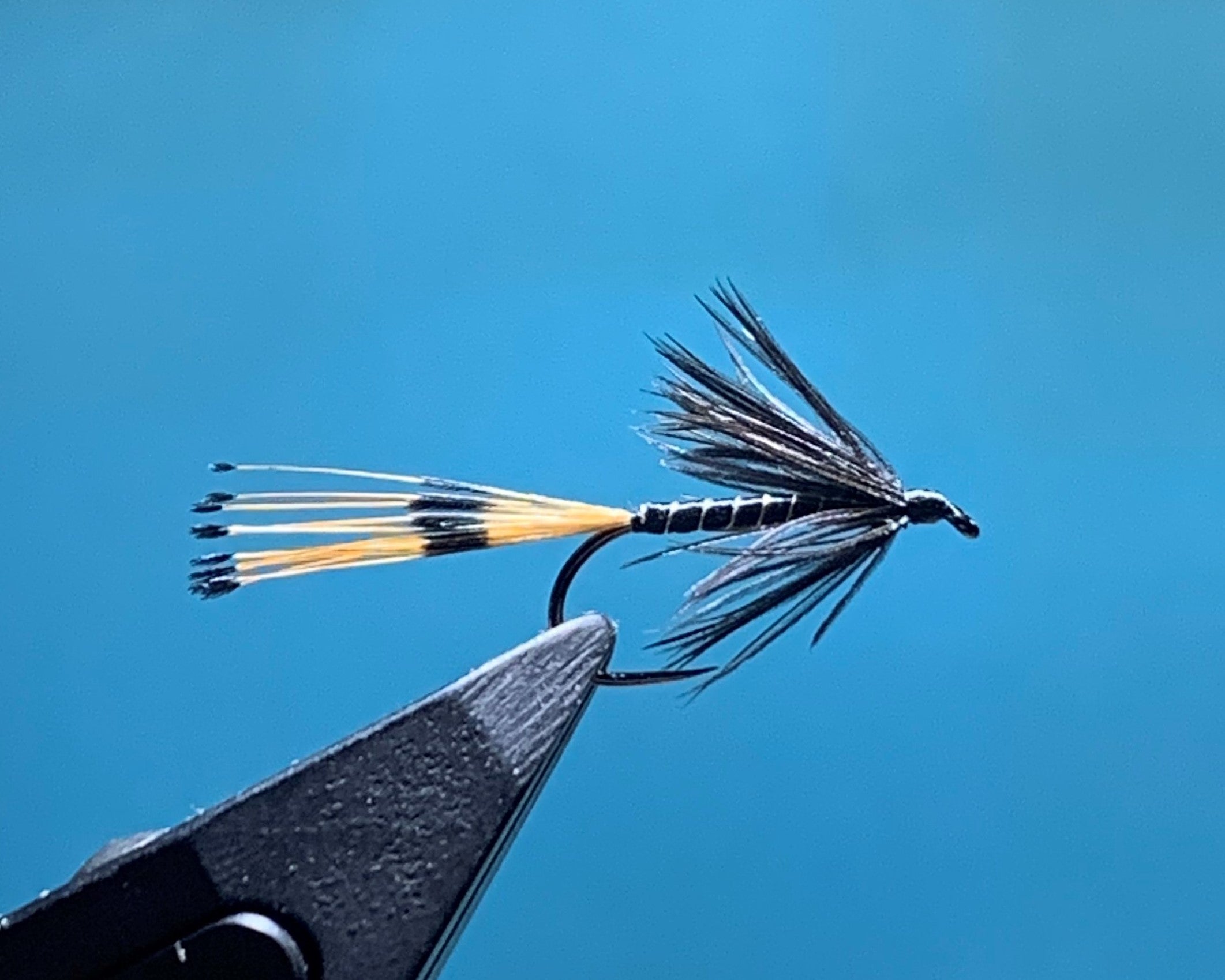 Nassfliege - Black Pennell