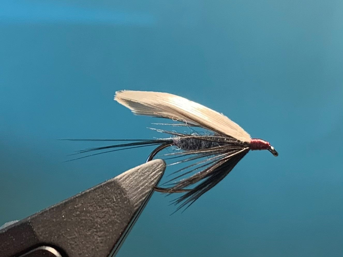 Nassfliege - Blue Dun