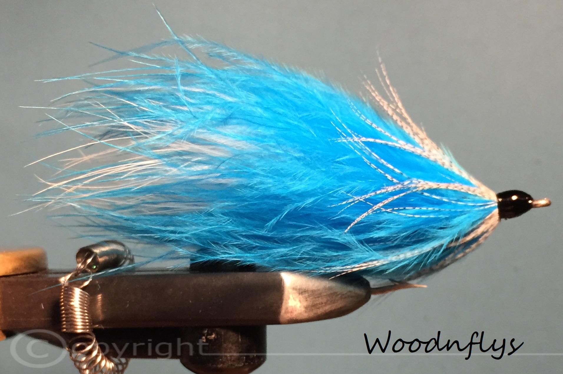 Dorschfliege - Blue Marabou