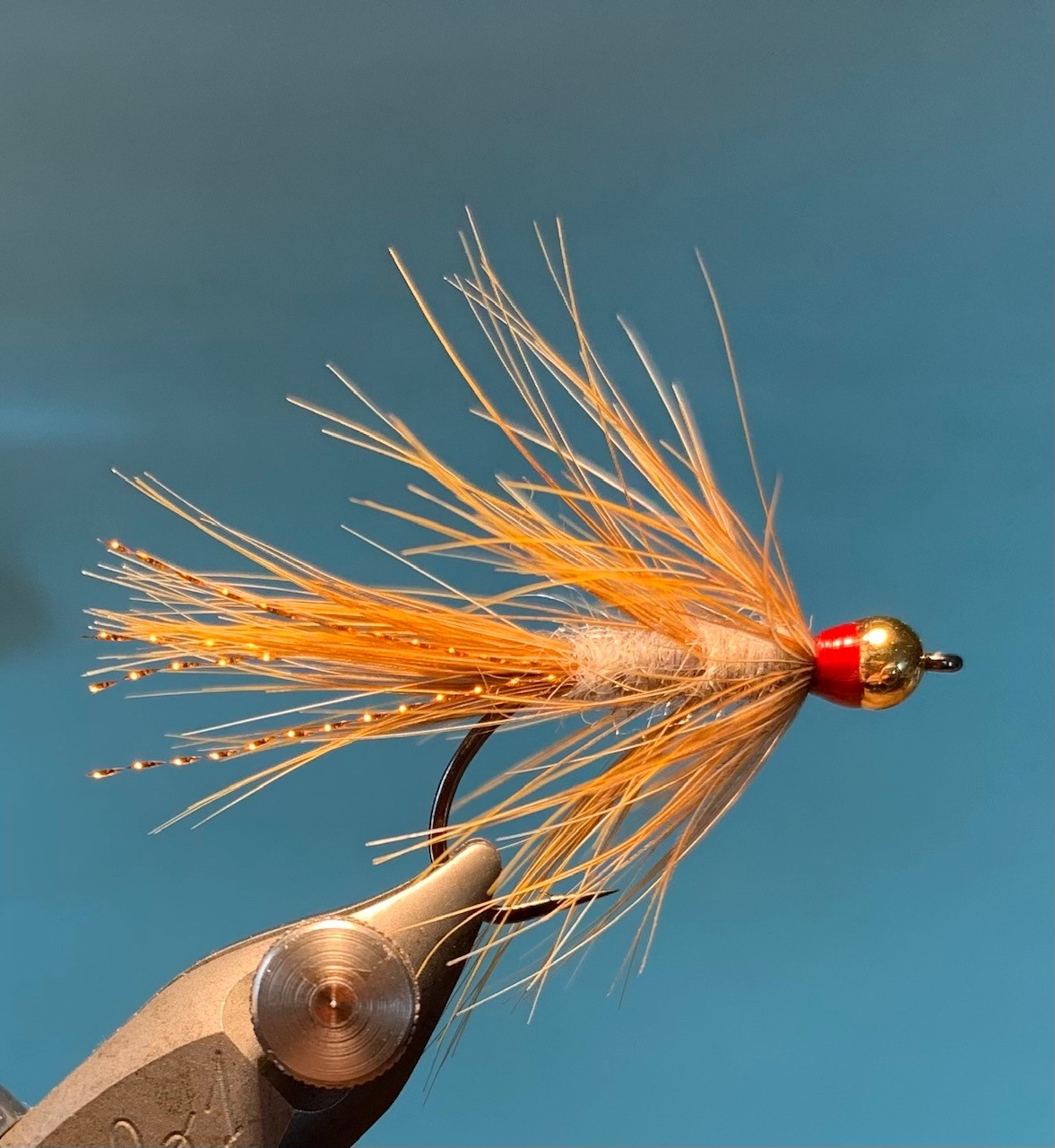 Brenda - Streamer ###