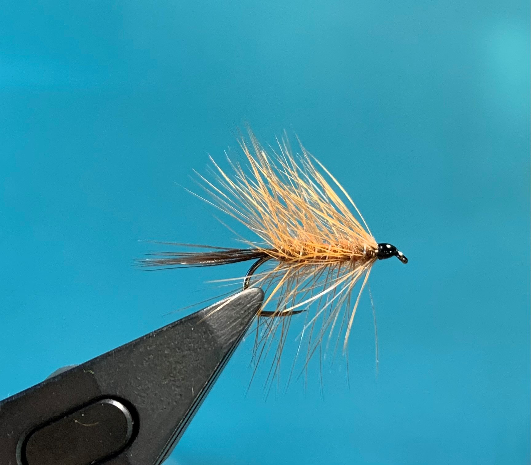 Nassfliege - Brown Palmer