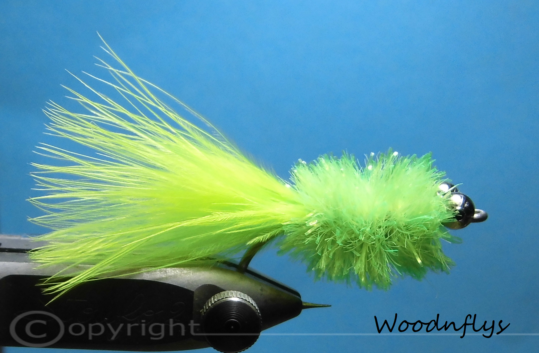 Dorschfliege - Gurke