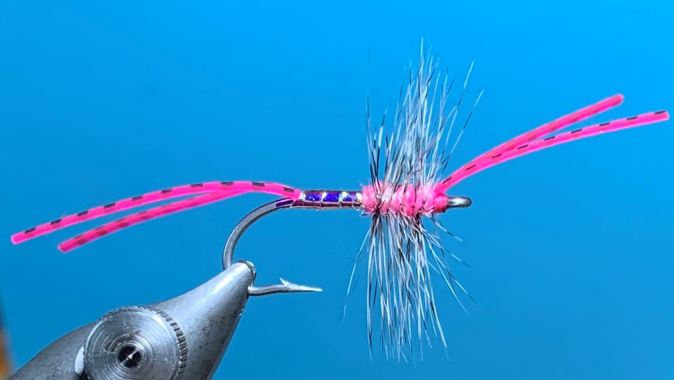 Schwebegarnele "Die Halbe"