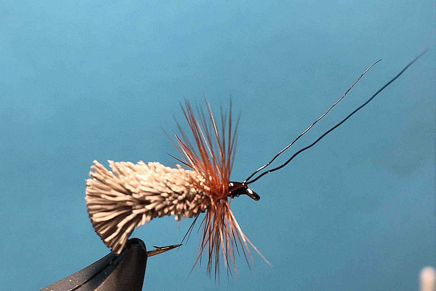 Trockenfliege - Goddard Caddis