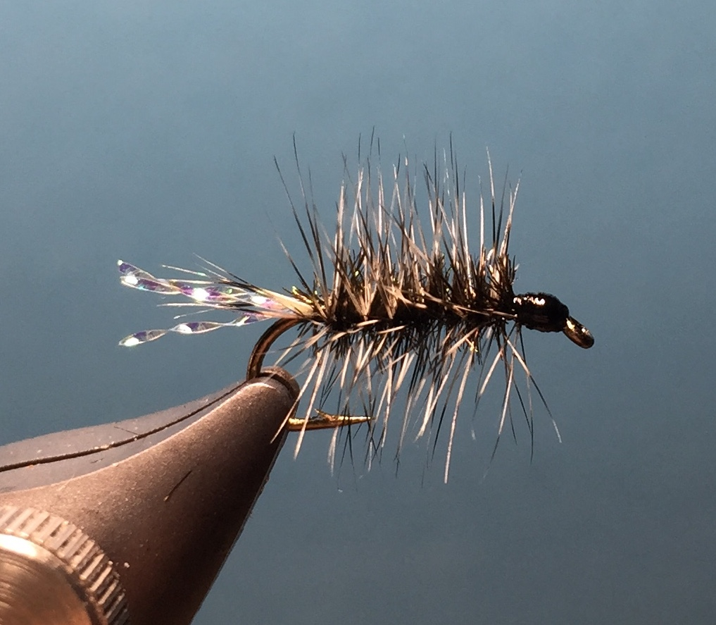 Trockenfliege - Griffith Gnat