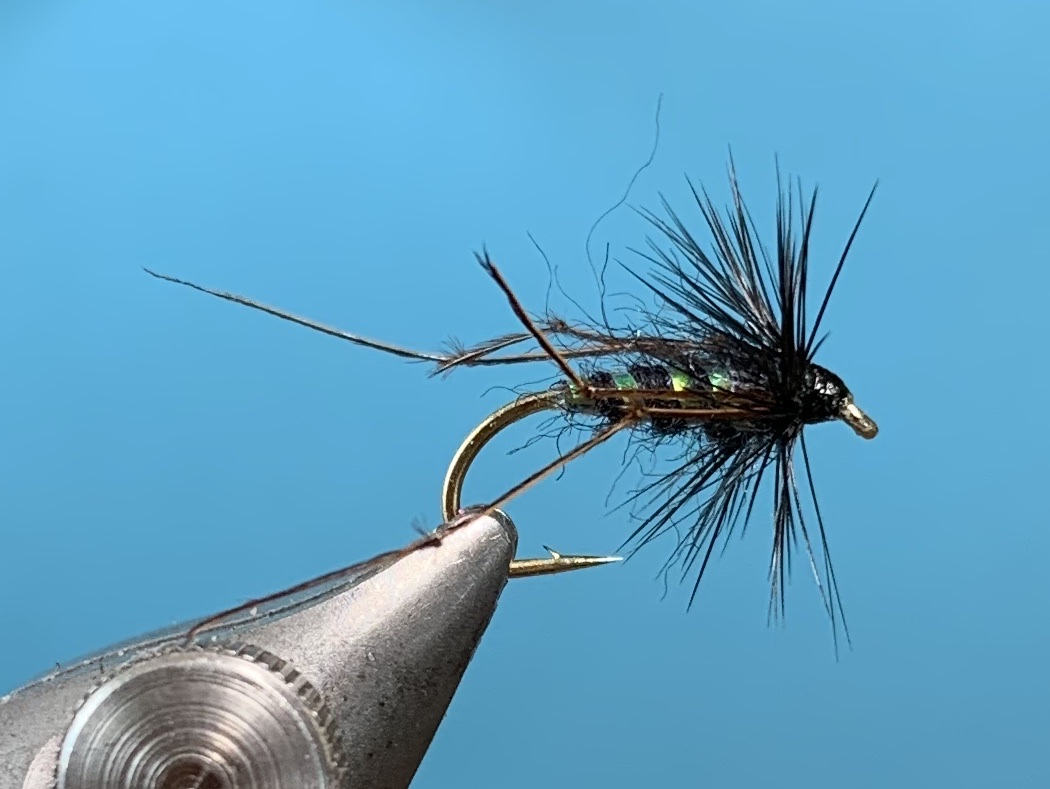 Black Hopper