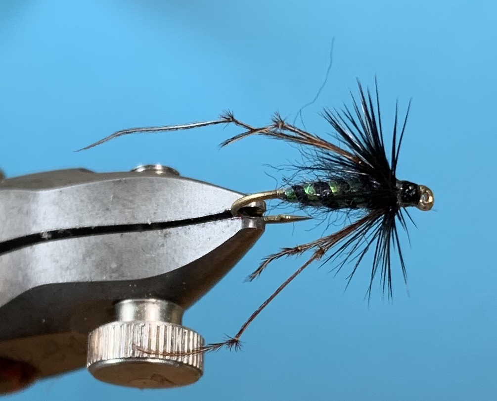 Black Hopper