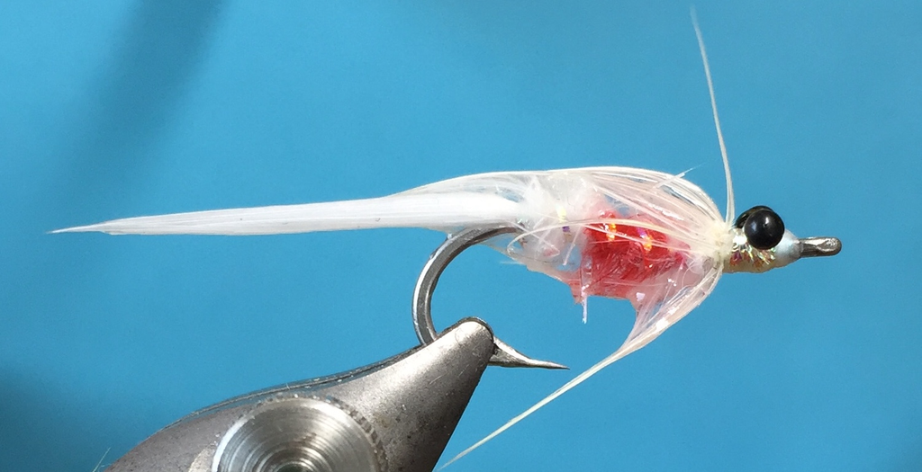 Schwebegarnele Weiss