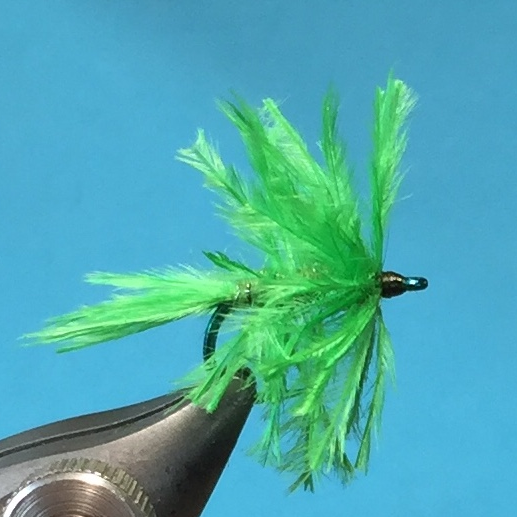 Seaweed Fly - Struthionidae