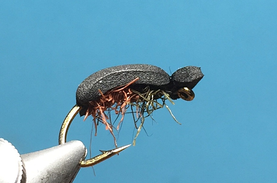 Käfer schwarz