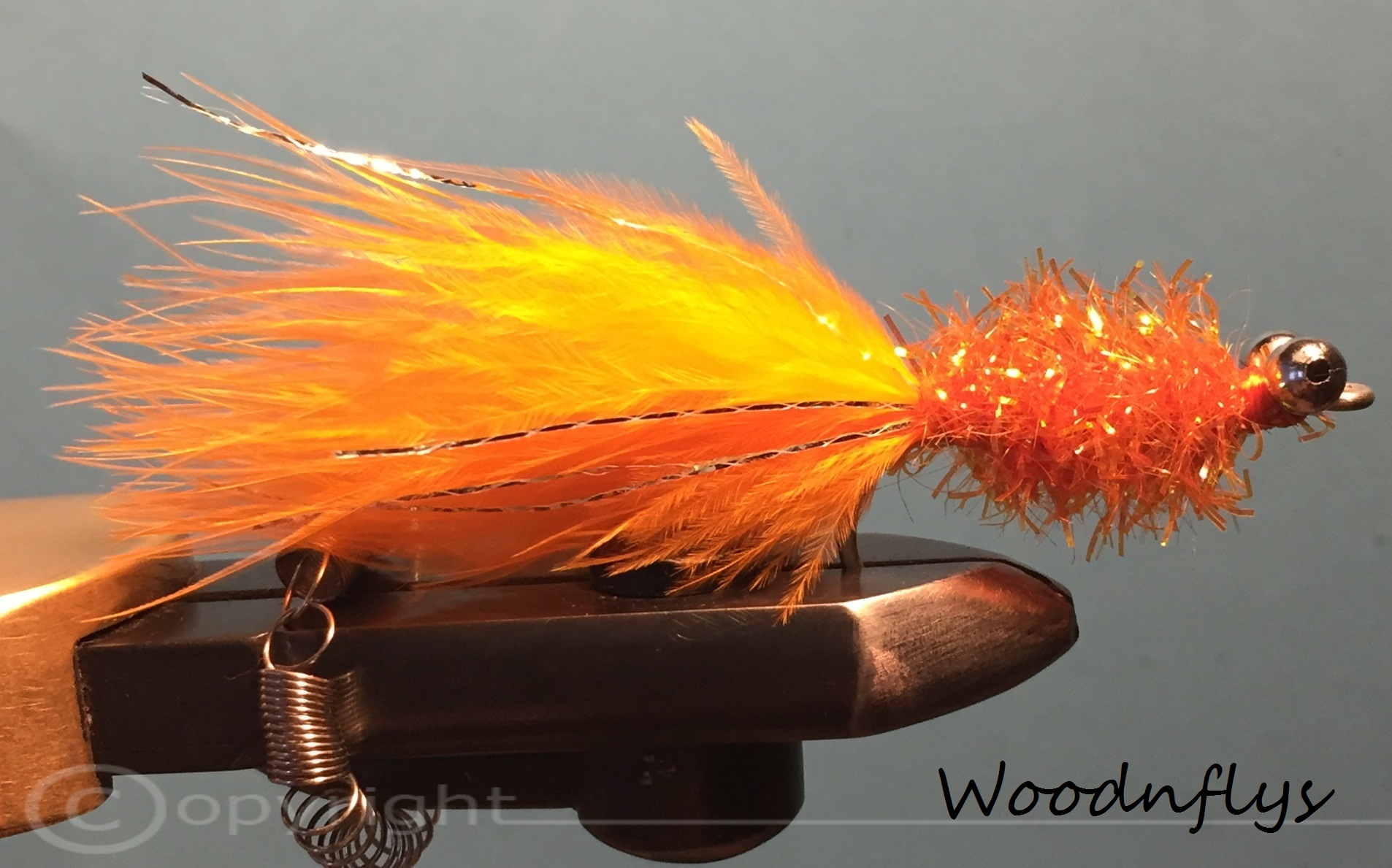 Dorschfliege - Karotte