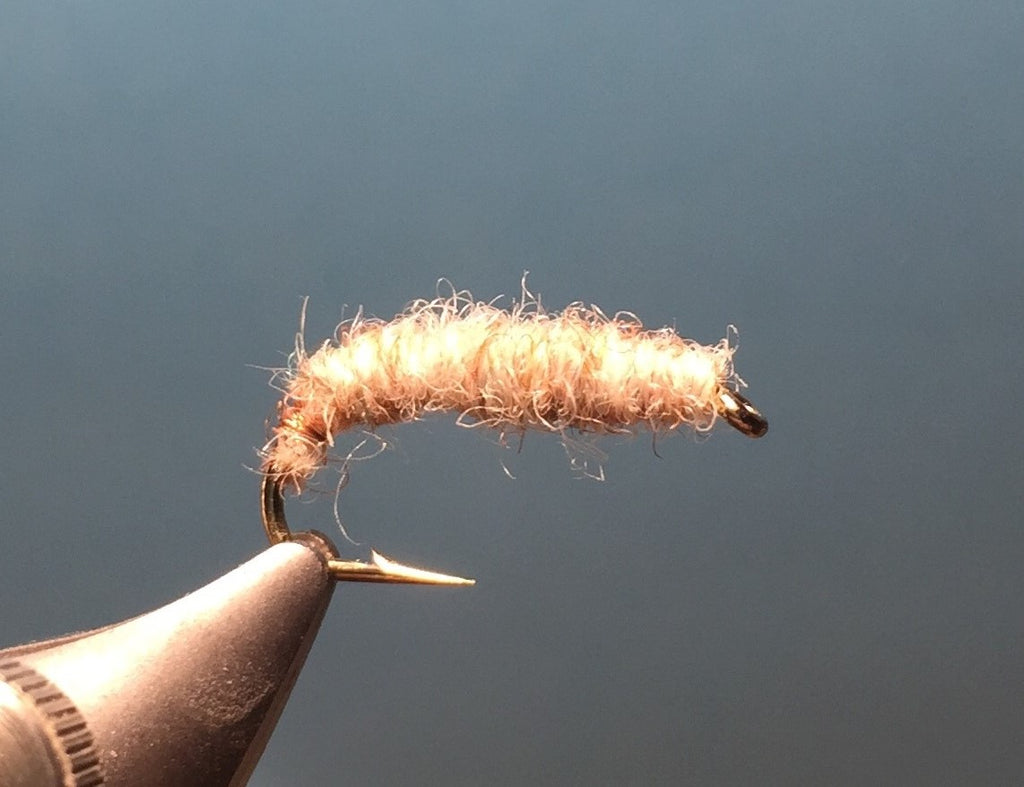 Nymphe - Killer Bug