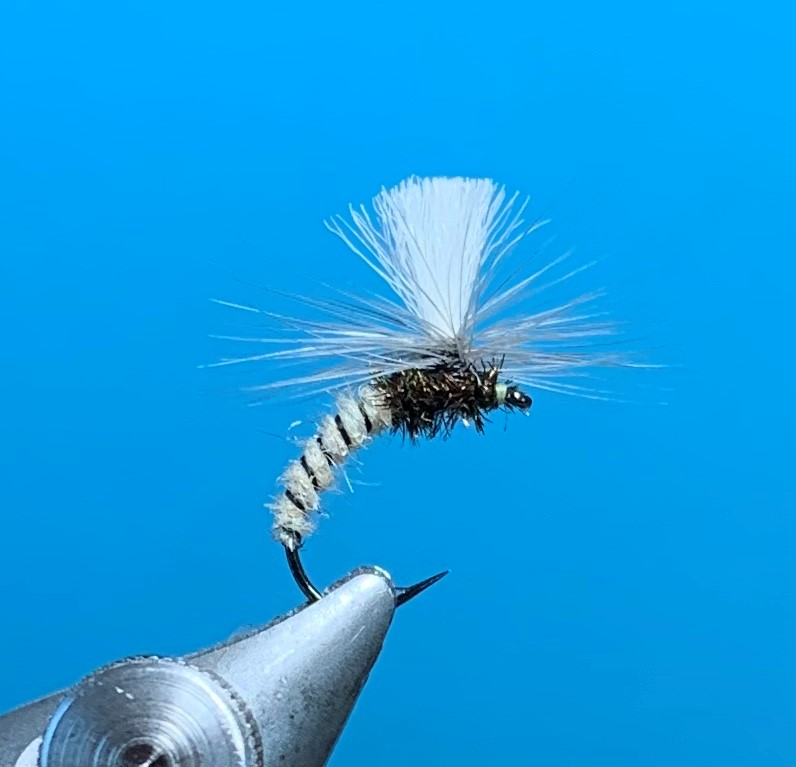 Dry Fly - Klinkhamer Zebra