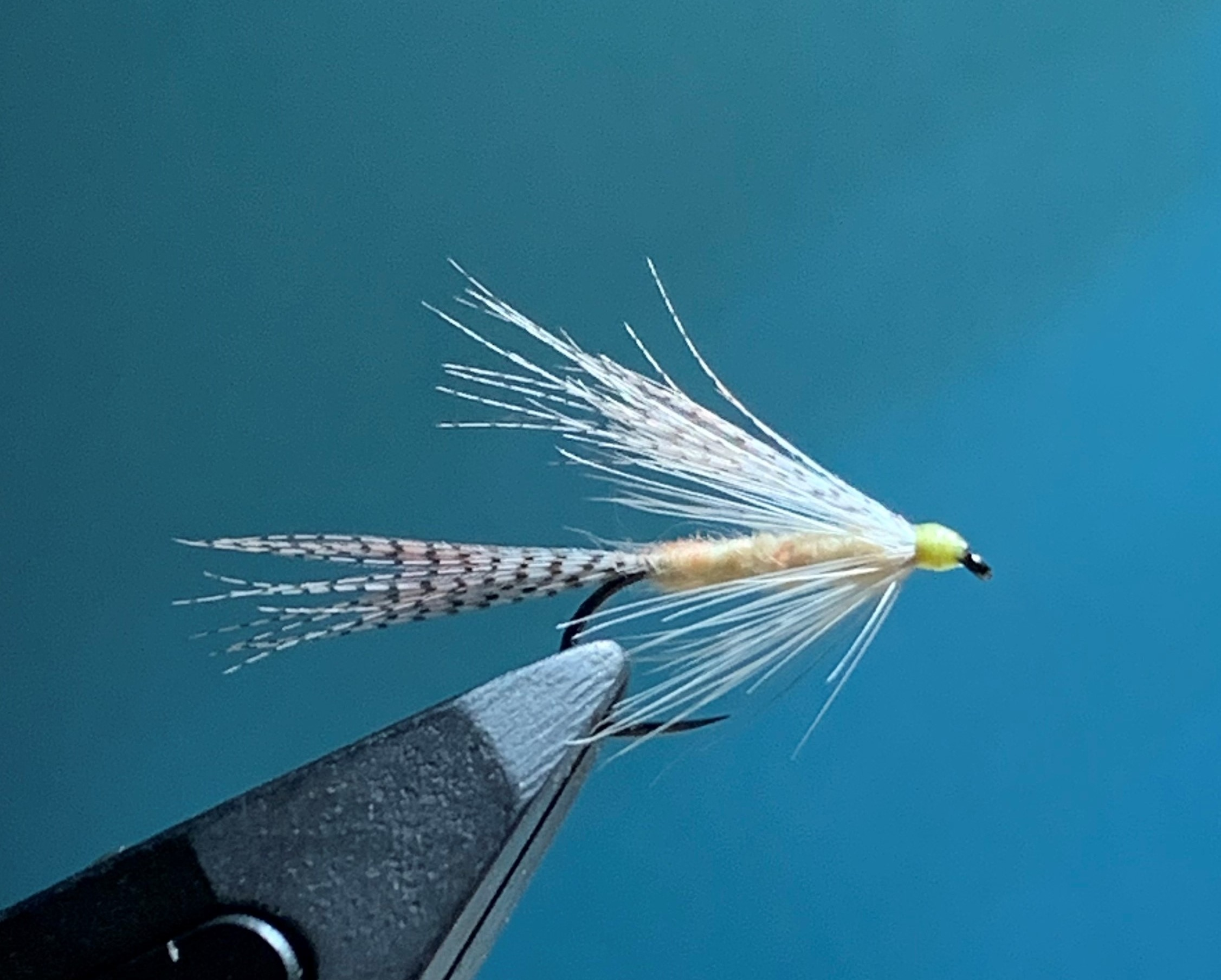 Nassfliege - Light Cahill