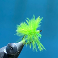 Algenfliege - Marabou chartreuse
