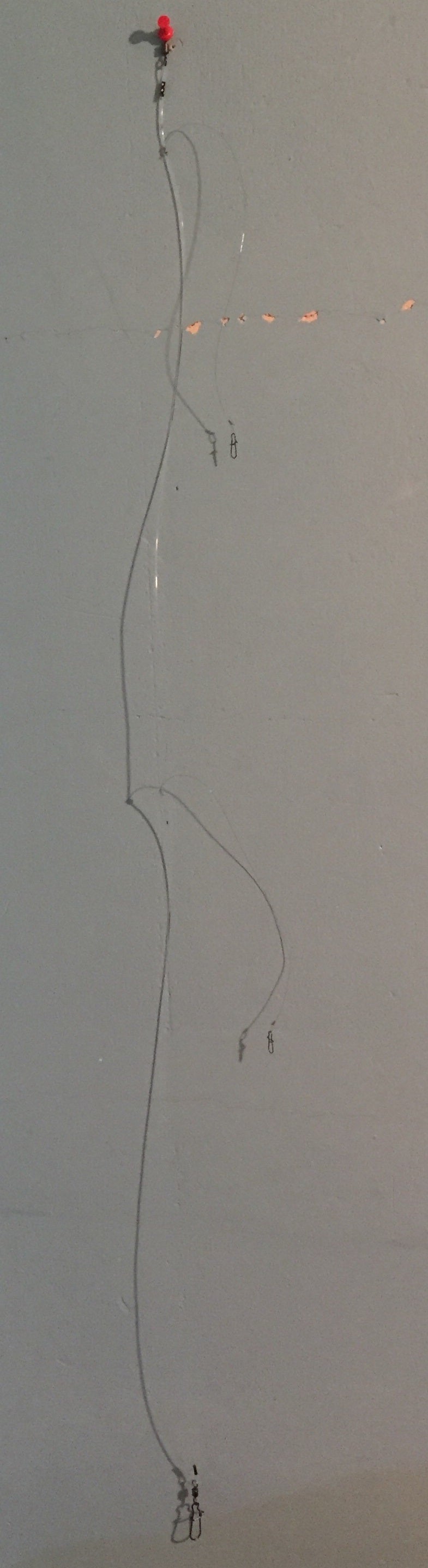 Meeres-Vorfach Fluorocarbon mit 2 Seitenarmen