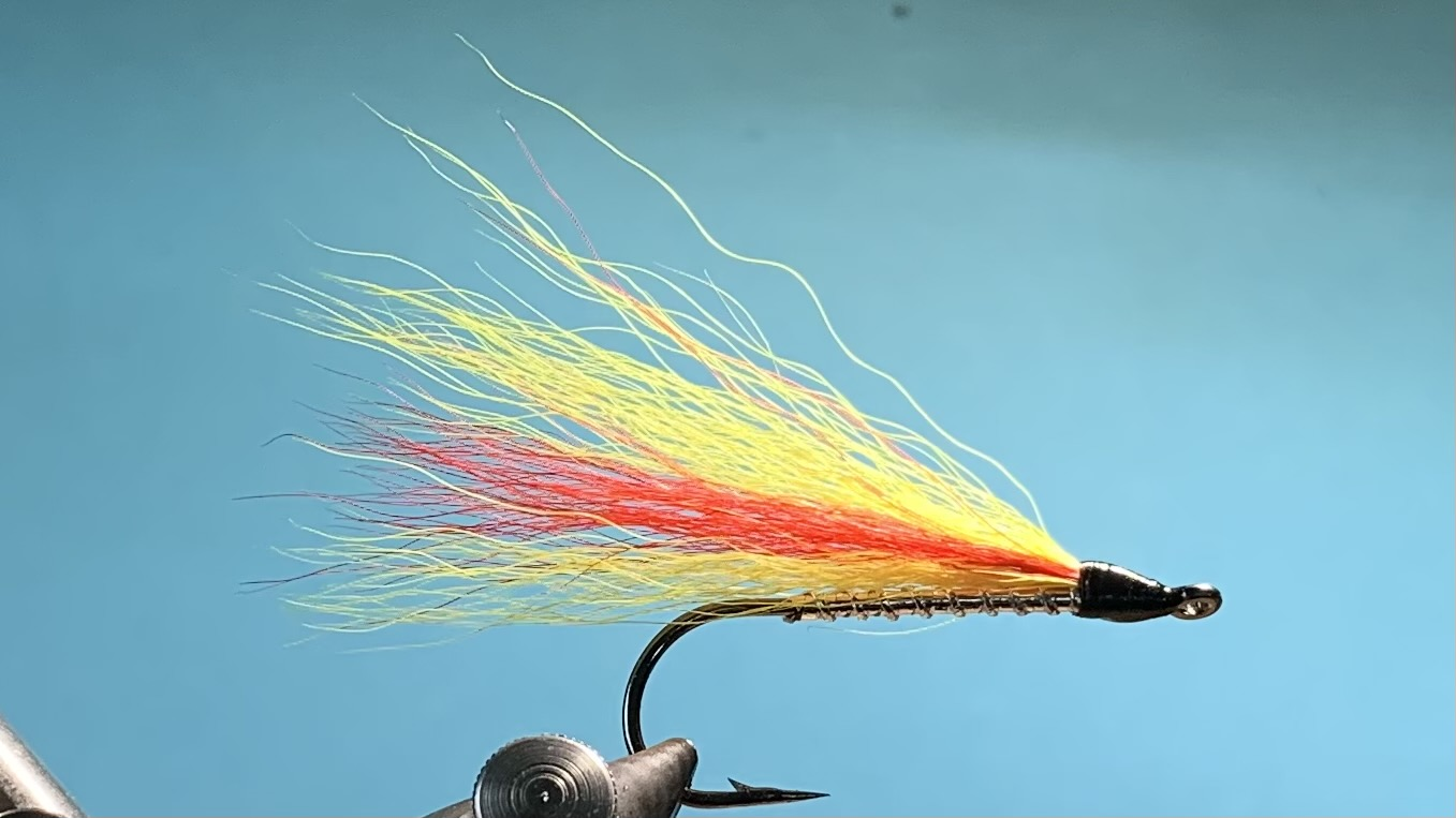 Mikey Finn - Streamer