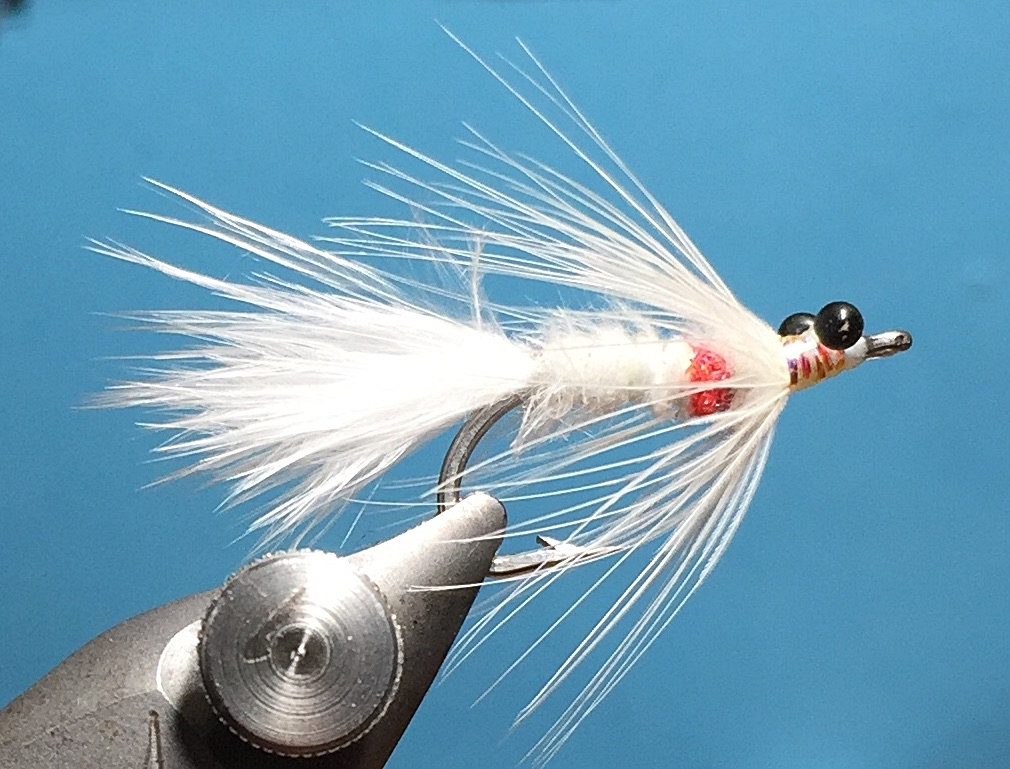 Schwebegarnele Weiss