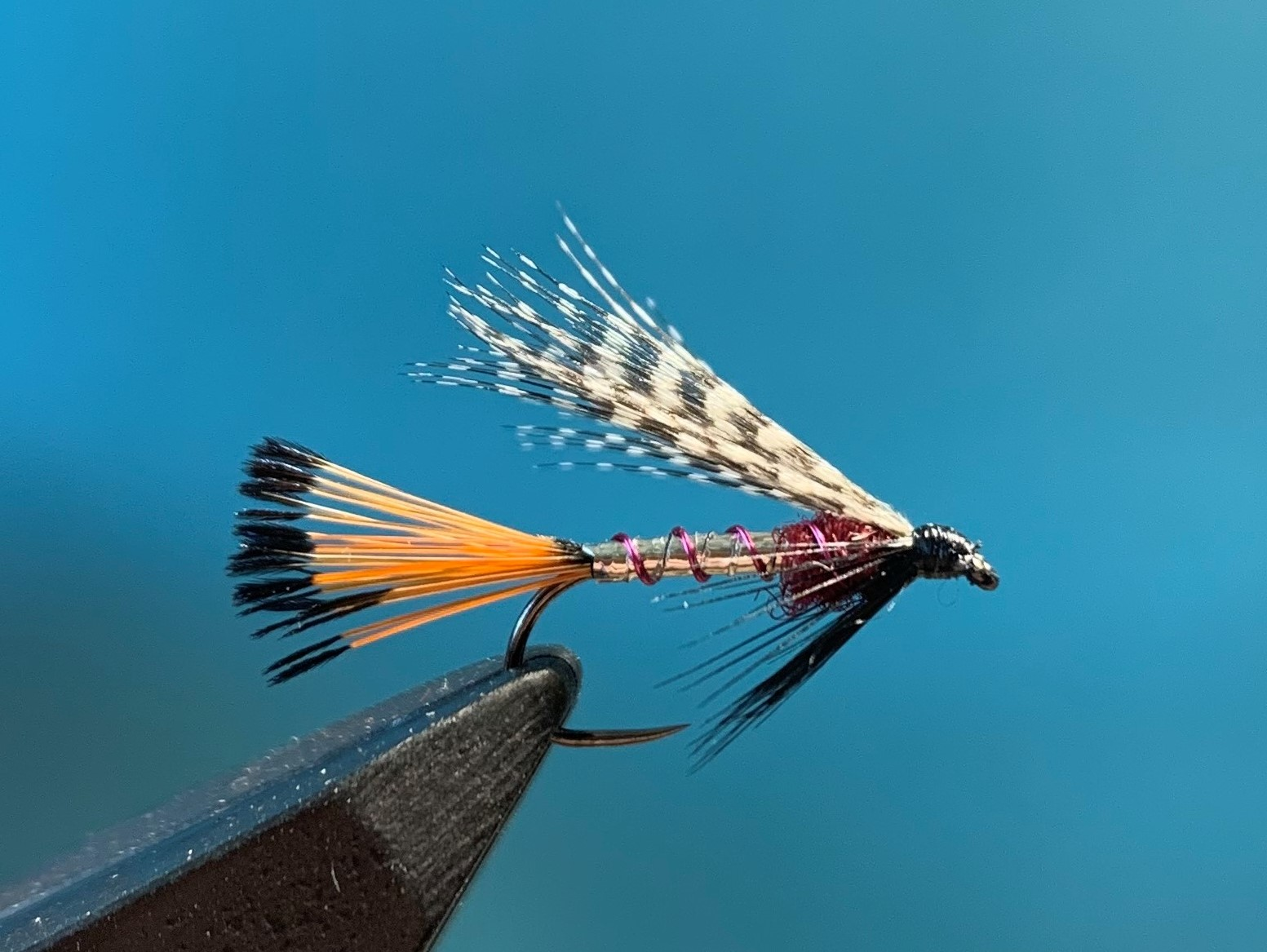 Nassfliege - Peter Ross