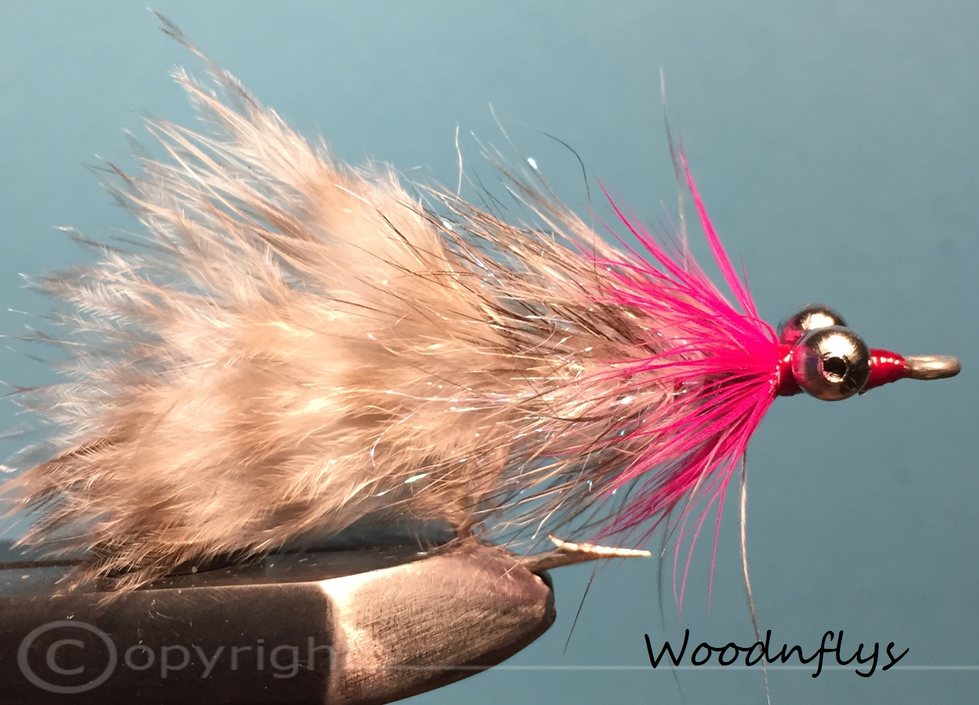 Dorschfliege - Magnus Magenta Schwer