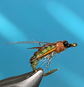 Nymphe - Real Caddis