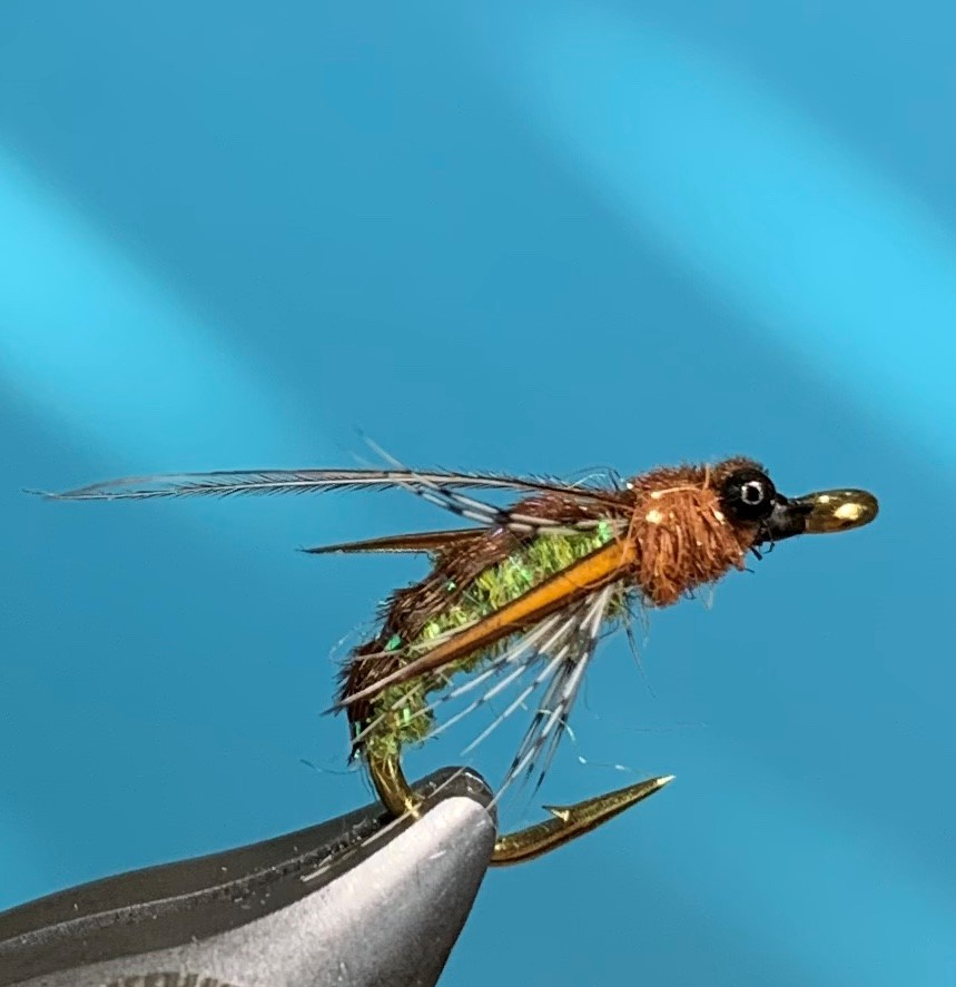 Nymph - Real Caddis
