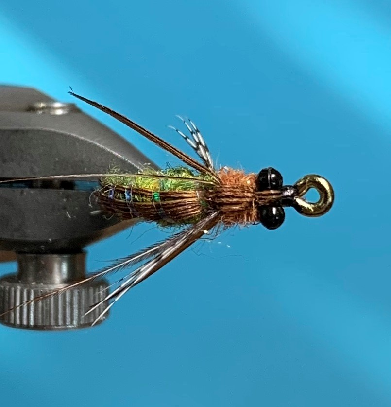 Nymph - Real Caddis
