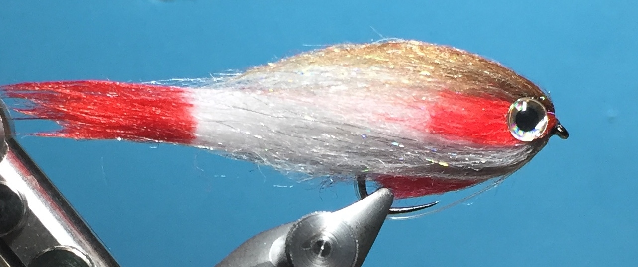 Laser Streamer