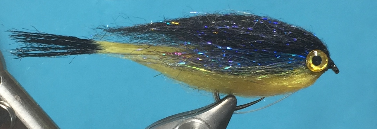 Laser Streamer