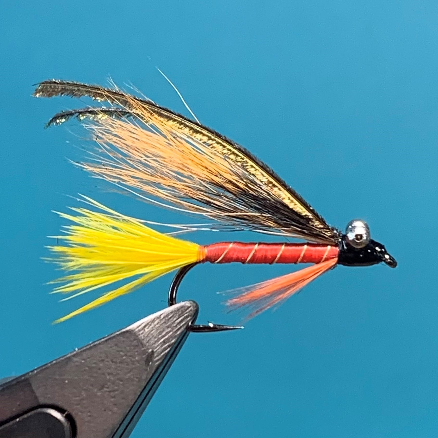 ABU Optic Fliegen - Streamtease