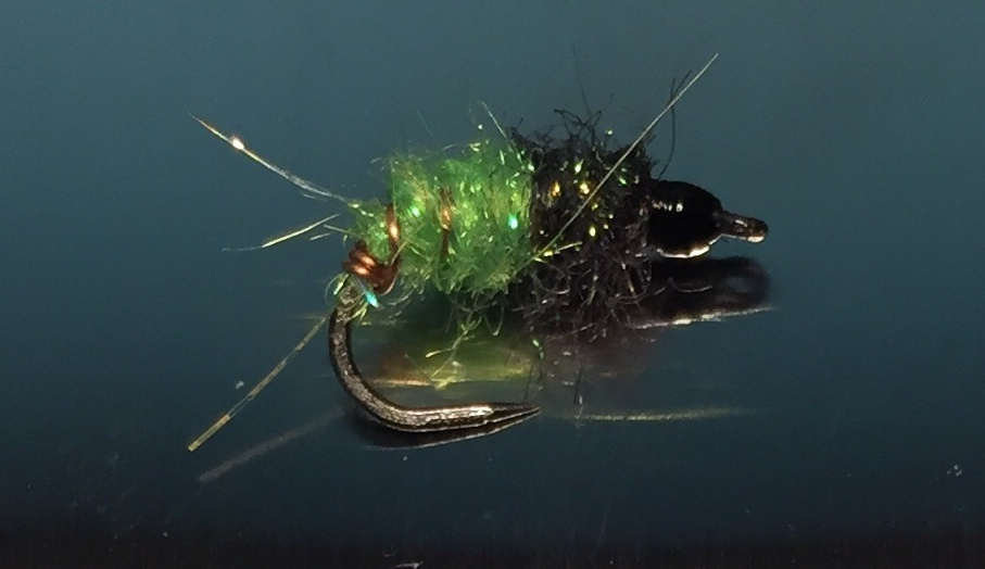 Arctic Sunny and Calm