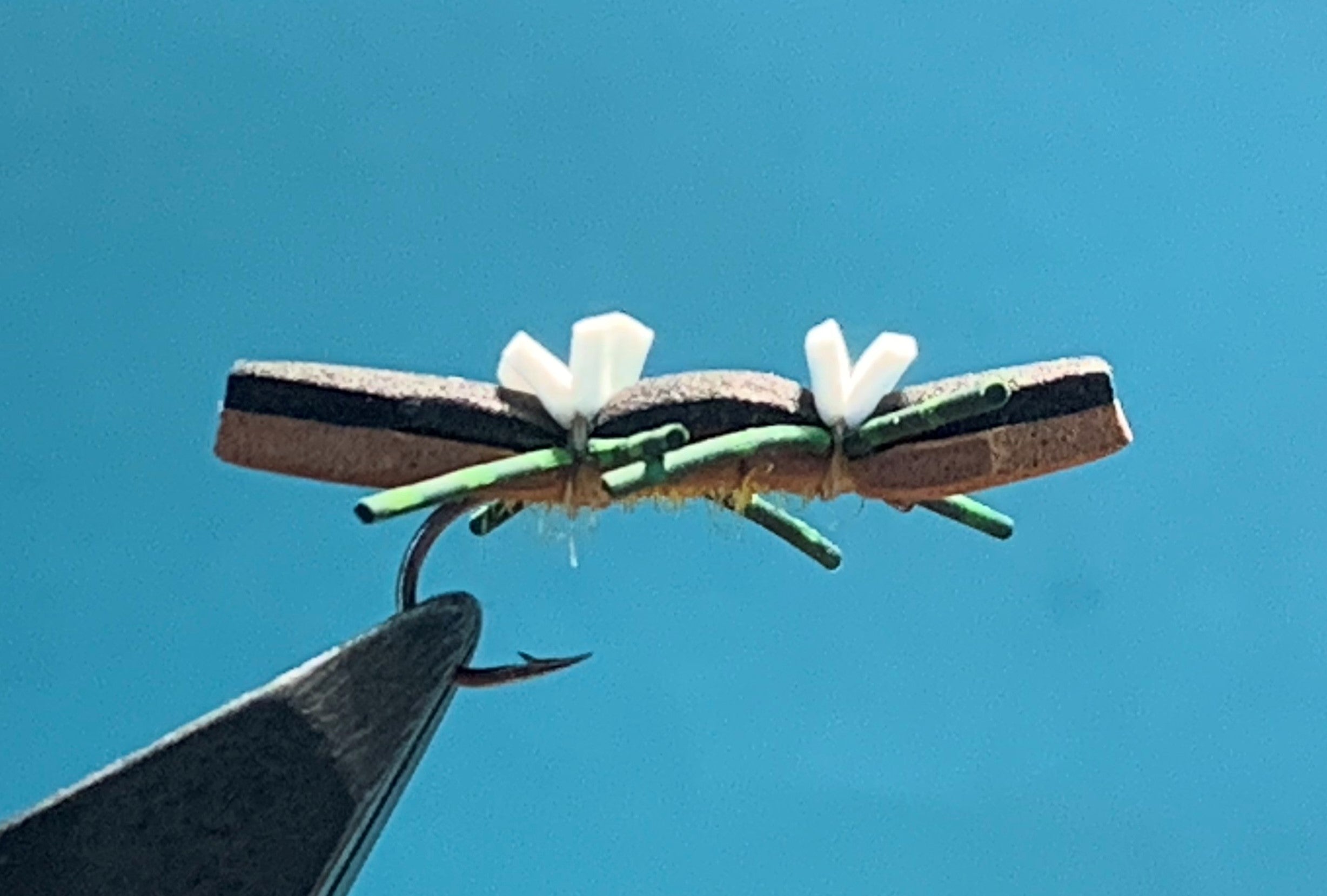 Tschernobyl Ant
