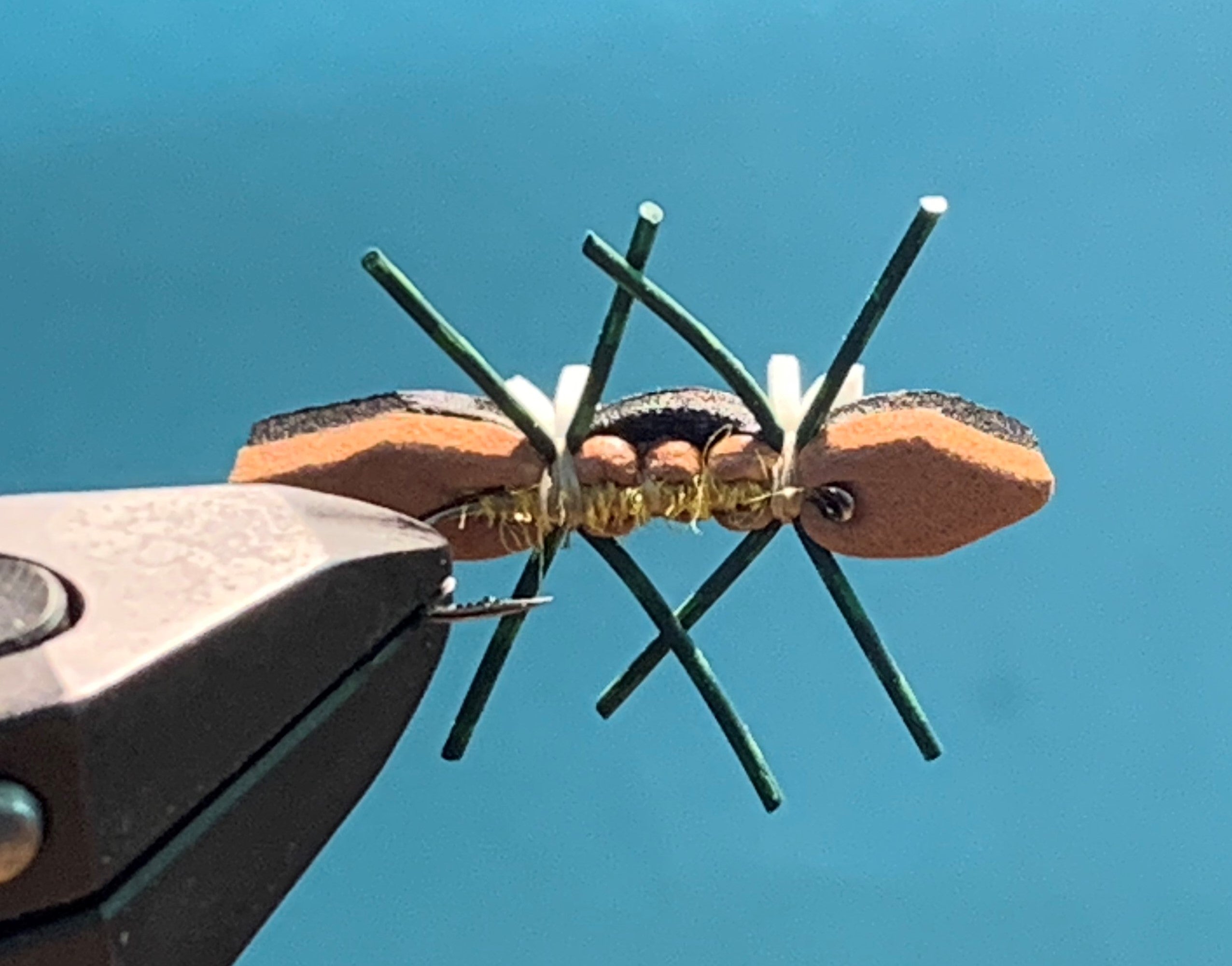 Tschernobyl Ant