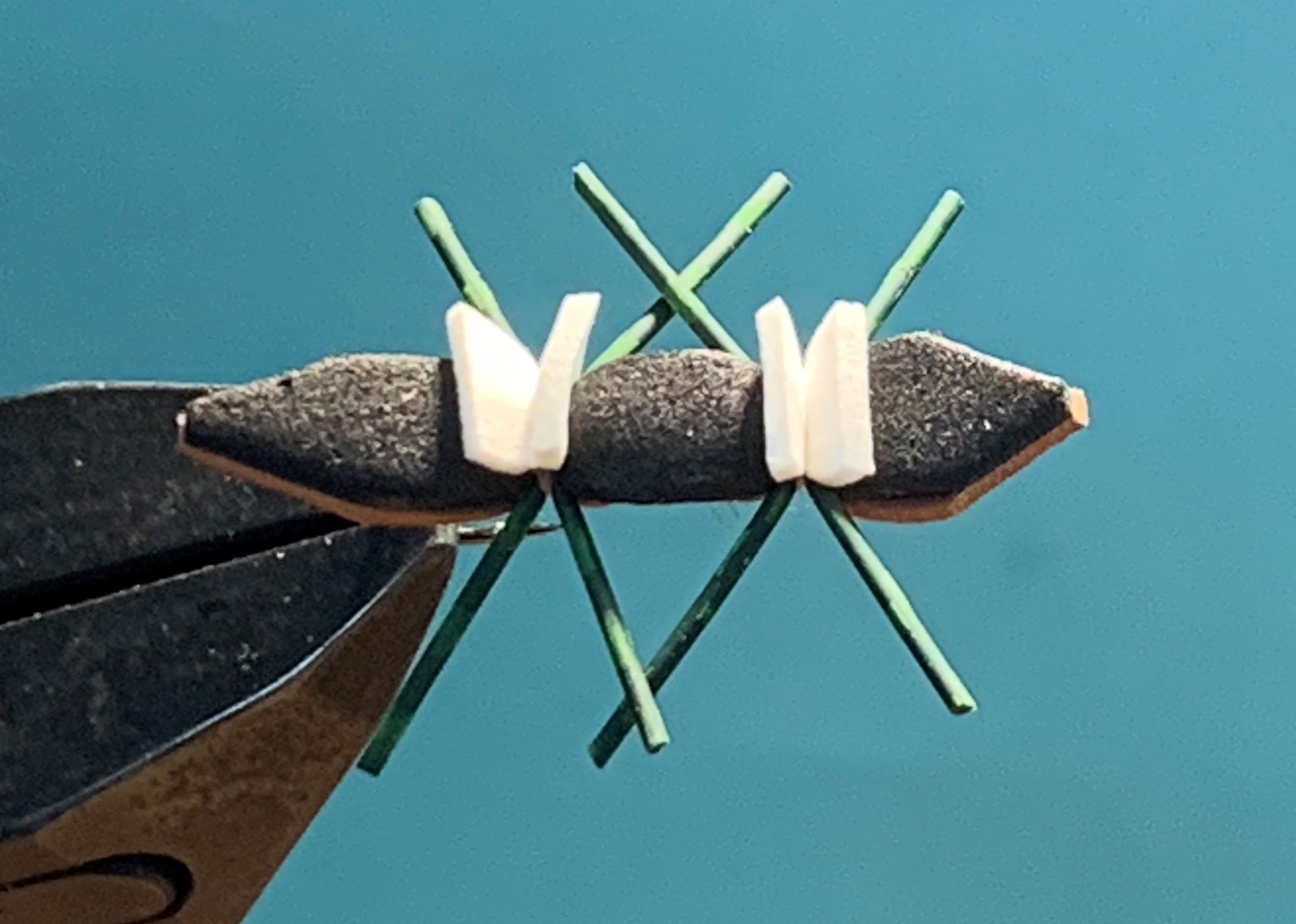 Tschernobyl Ant