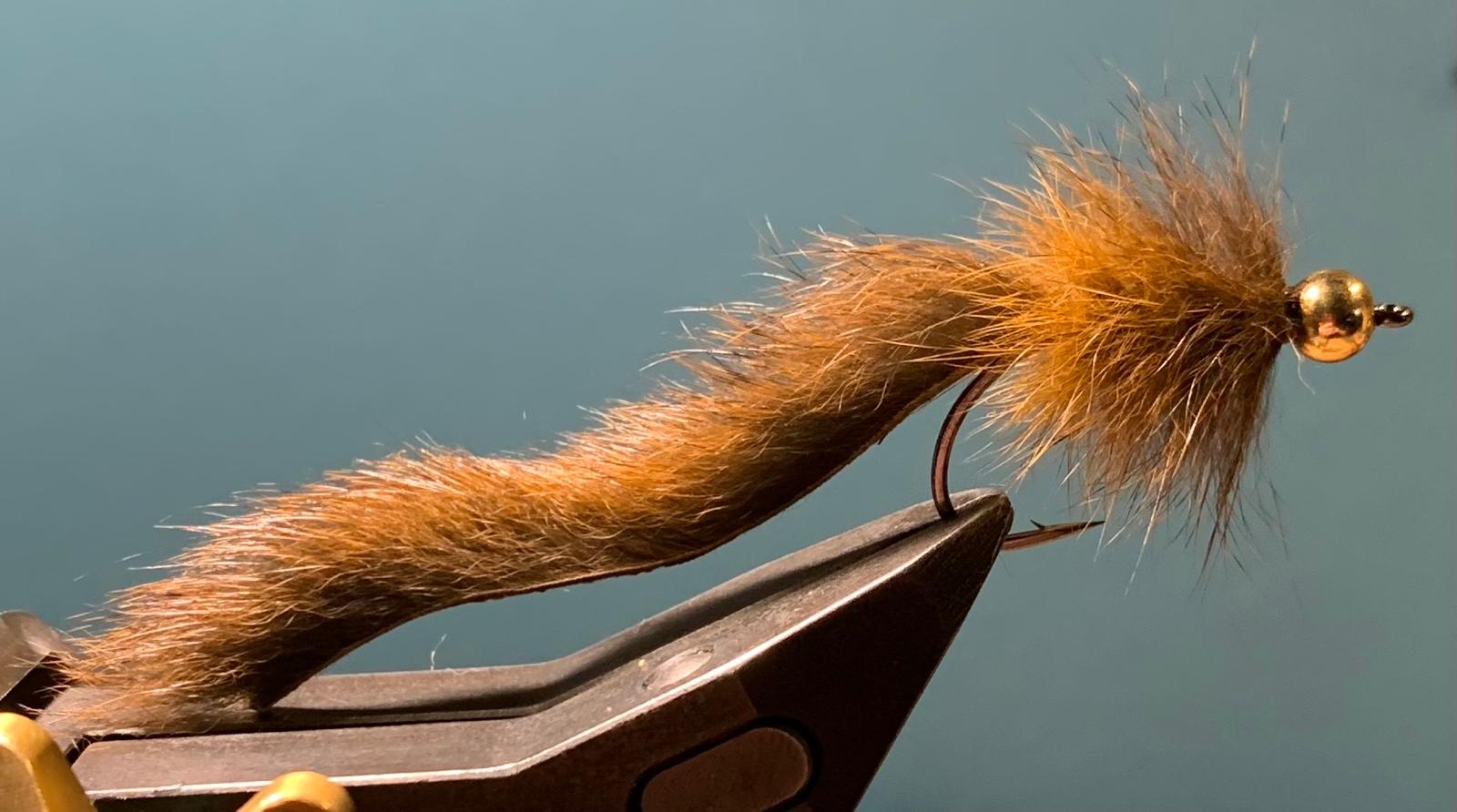 Seeringelwurm Rotbraun