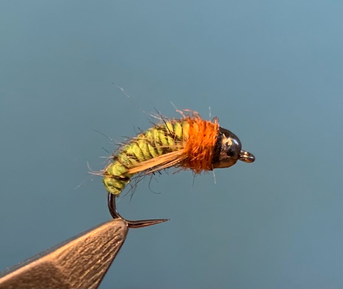 Nymphe - October Caddis