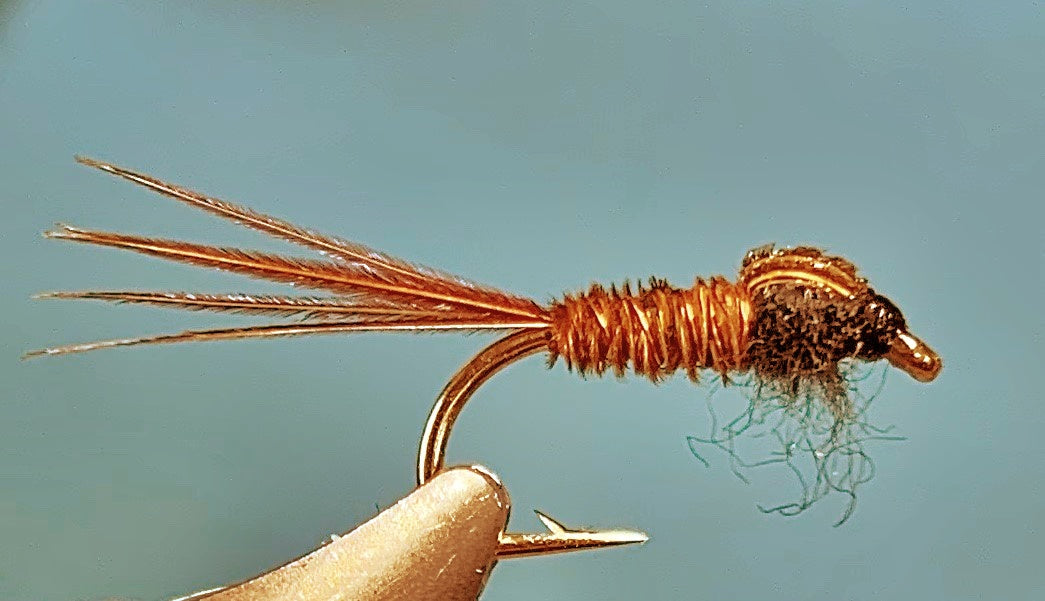 Nymph - Pheasant Tail