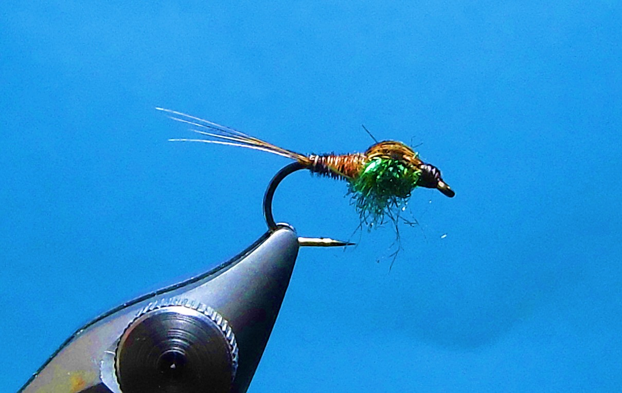 Nymph - Pheasant Tail