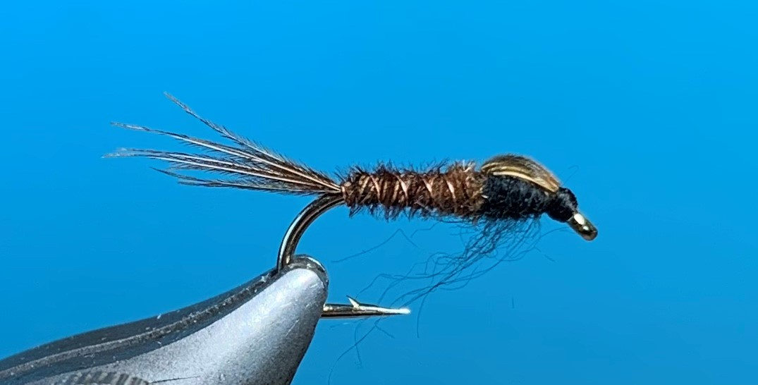 Nymph - Pheasant Tail